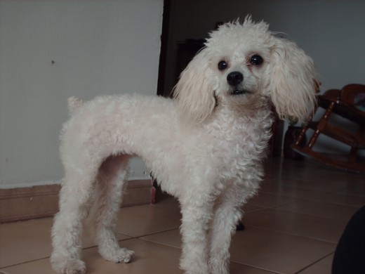 Fili en casa de la abuela, mostrando su nuevo look